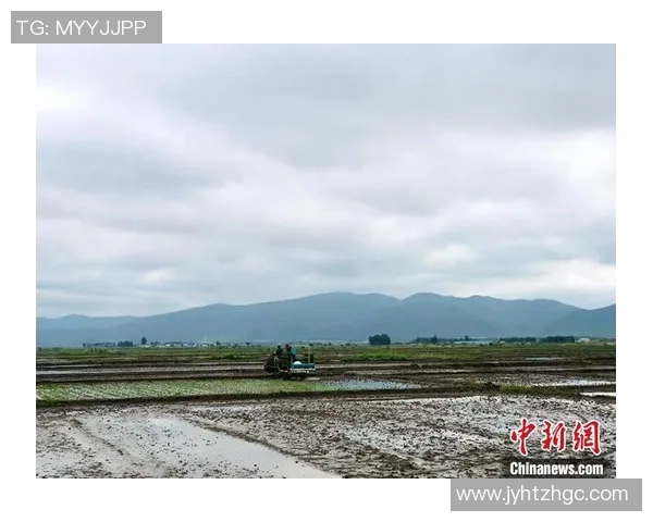 科学攀岩：团队协作训练方法_1